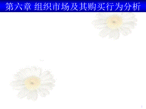 组织市场购买者行为分析.ppt