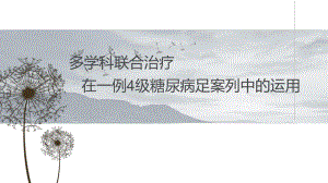 糖尿病足个案.ppt