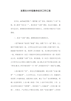 发展壮大村级集体经济工作汇报.docx