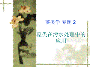 藻类在污水处理中的应用.ppt