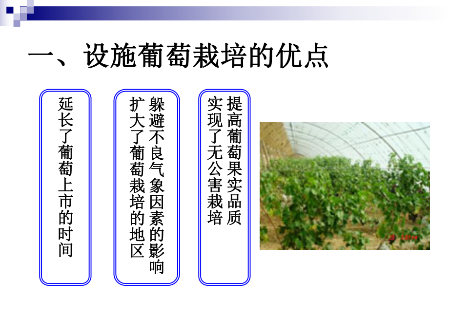 设施果树栽培——葡萄栽培技术.ppt_第3页