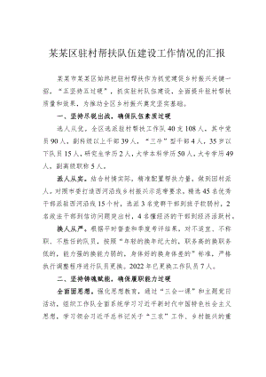 某某区驻村帮扶队伍建设工作情况的汇报.docx