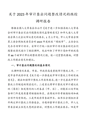 关于2023年审计查出问题整改情况的跟踪调研报告.docx