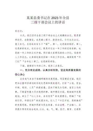某某县委书记在2023年全县三级干部会议上的讲话.docx