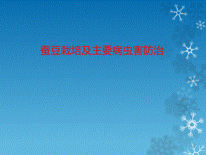 蚕豆栽培与病虫害防治.ppt