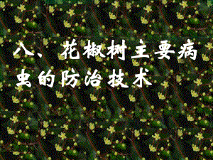 花椒病虫害防治.ppt