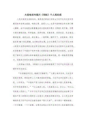 大型电视专题片《领航》个人观后感.docx