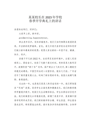 某某校长在2023年学校春季开学典礼上的讲话.docx
