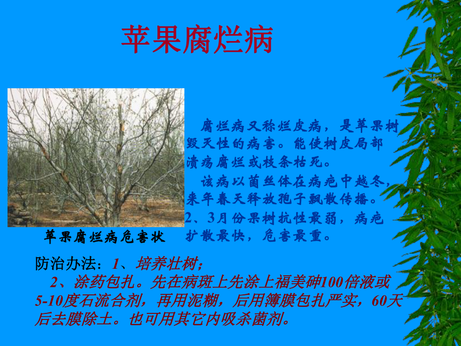 苹果病虫害防治技术.ppt_第2页