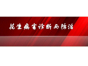 花生常见病虫害诊断与防治.ppt