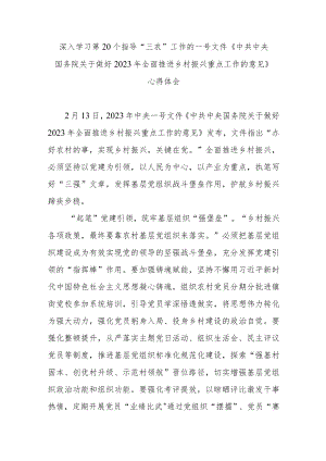 深入学习第20个指导“三农”工作的一号文件《中共中央国务院关于做好2023年全面推进乡村振兴重点工作的意见》心得体会3篇.docx