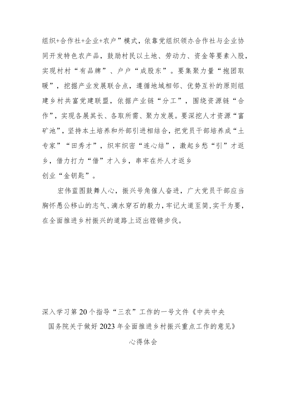 深入学习第20个指导“三农”工作的一号文件《中共中央国务院关于做好2023年全面推进乡村振兴重点工作的意见》心得体会3篇.docx_第3页