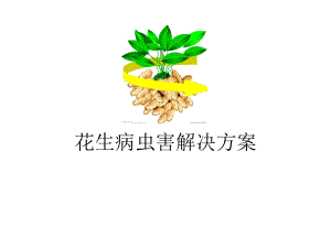 花生病虫害解决方案.ppt