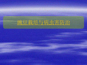 豌豆栽培及病虫害防治.ppt