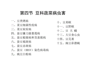 豆科蔬菜病虫害幻灯片.ppt