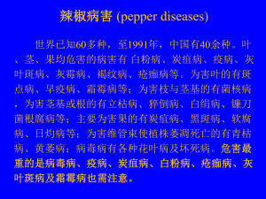 辣椒病虫害防治及.ppt