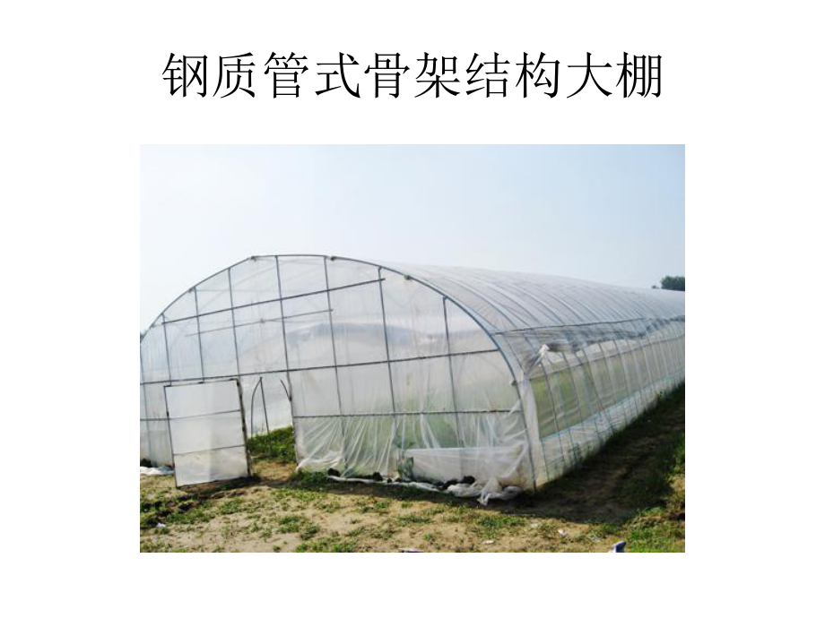 西瓜栽培新技术.ppt_第3页