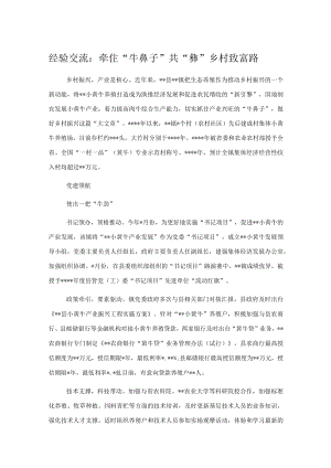 经验交流：牵住“牛鼻子”共“犇”乡村致富路.docx