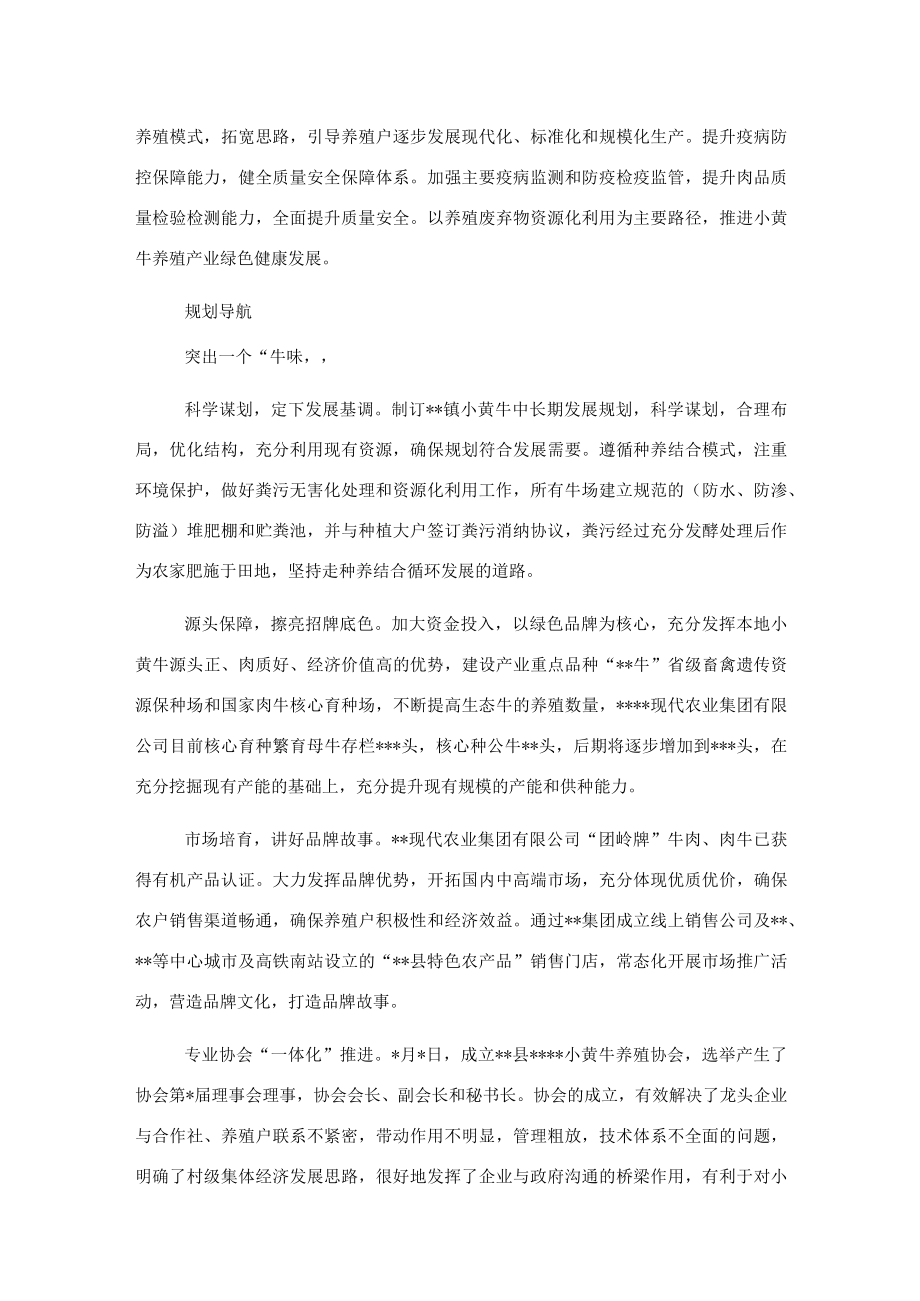 经验交流:牵住“牛鼻子”共“犇”乡村致富路.docx_第2页