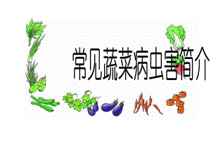 蔬菜常见病虫害识别与防治.ppt