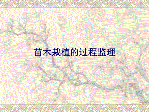 苗木栽植质量控制.ppt