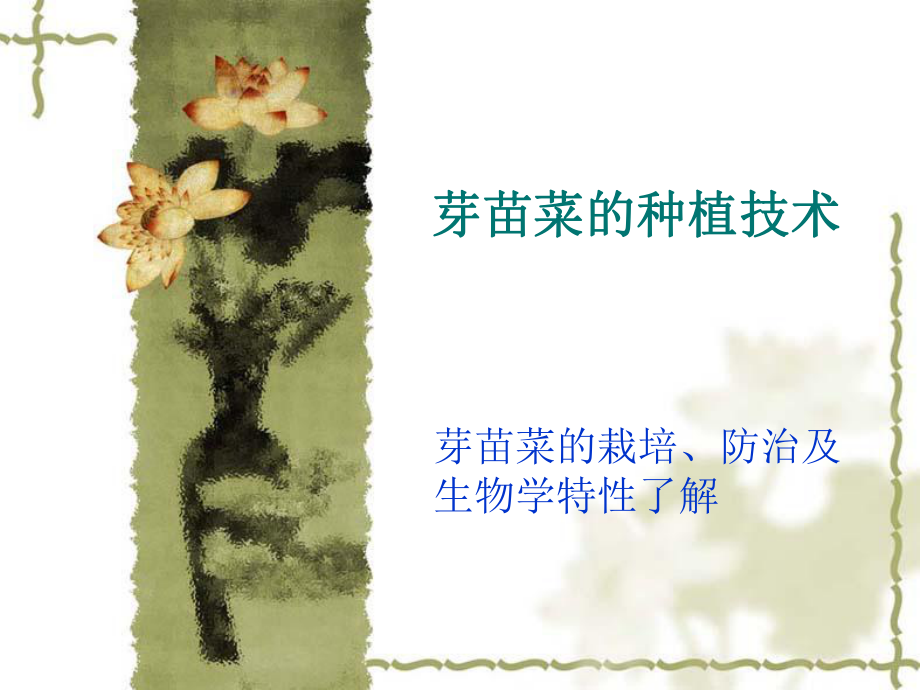 芽苗菜栽培技术.ppt_第1页