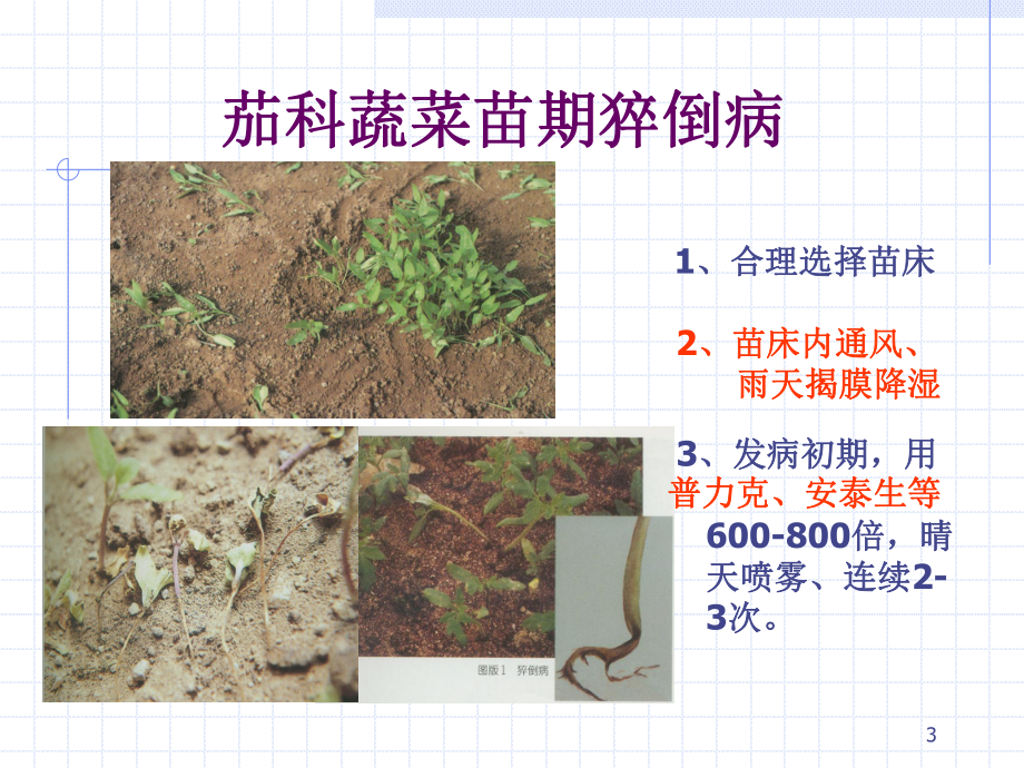 茄科蔬菜病虫害防治.ppt_第3页