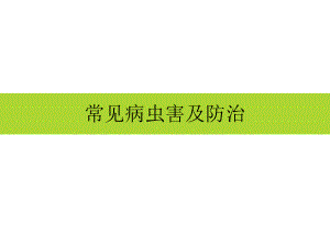 蜜柚病虫害综合防治技术.ppt