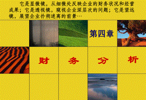 财务管理之财务分析.ppt