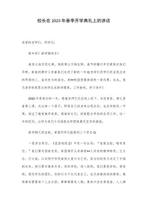 校长在2023年春季开学典礼上的讲话.docx