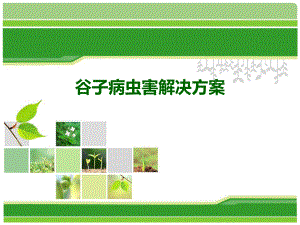 谷子病虫害解决方案.ppt