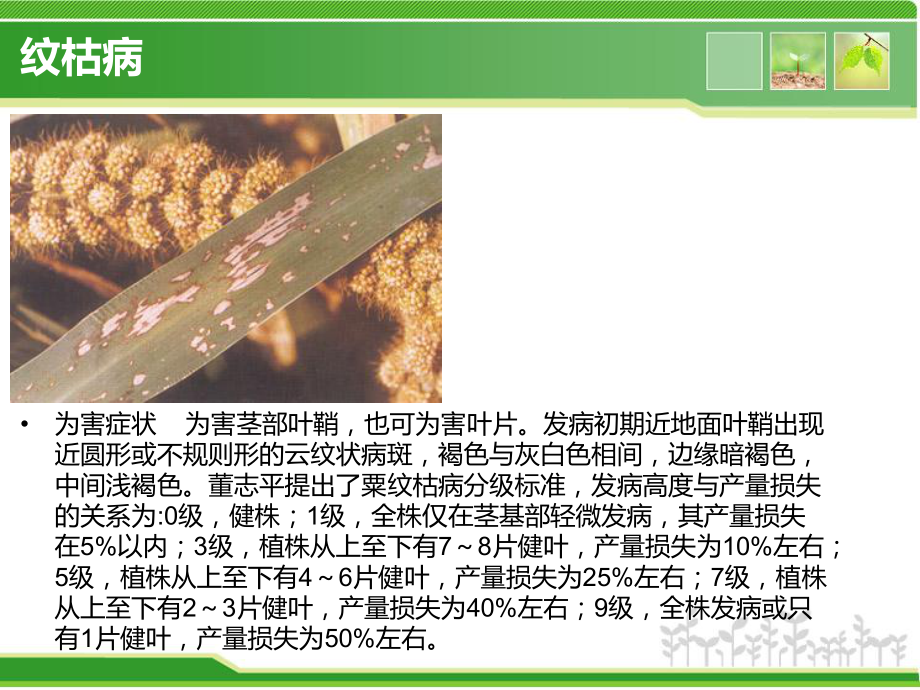 谷子病虫害解决方案.ppt_第3页