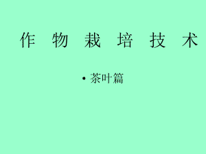 茶叶栽培技术.ppt
