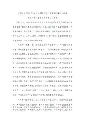 支部大会学习《中共中央 国务院关于做好2023年全面推进乡村振兴重点工作的意见》发言.docx