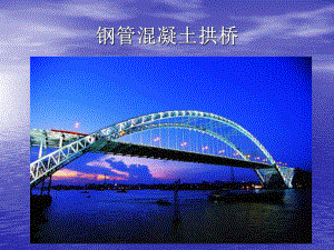 钢管混凝土拱桥..ppt
