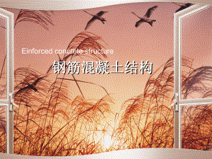 钢筋混凝土结构.ppt