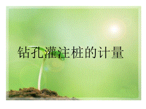 钻孔灌注桩的计量.ppt