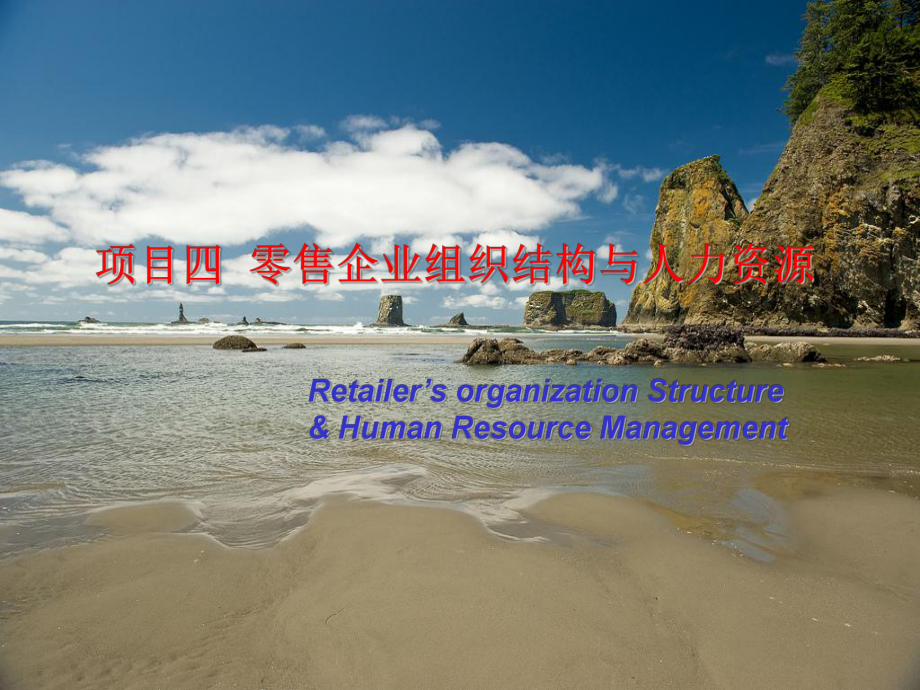 项目四零售企业组织结构与人力资源.ppt_第2页