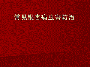 银杏病虫害防治.ppt