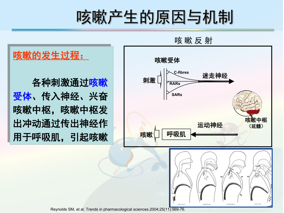 阿斯美CREAT临床研究.ppt_第3页