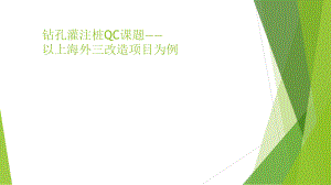 钻孔灌注桩控制要点.ppt