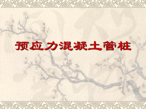 预应力混凝土管桩.ppt