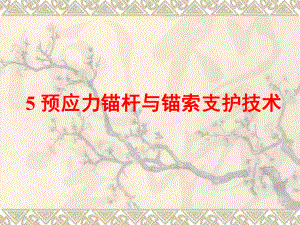 预应力锚杆与锚索支护技术.ppt