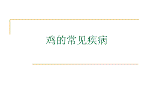 鸡常见传染病.ppt