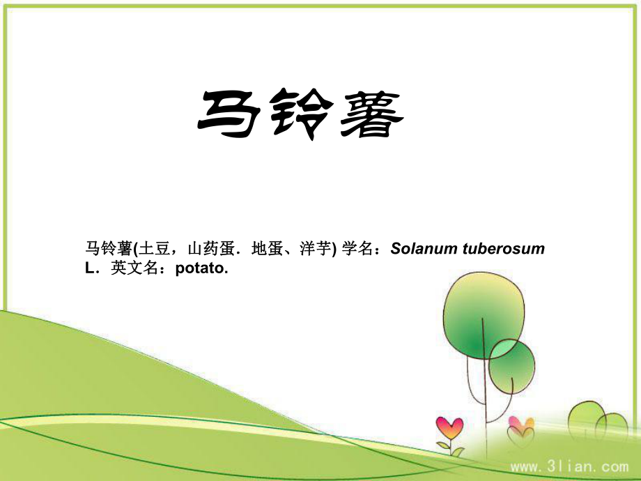 马铃薯栽培技术.ppt_第1页