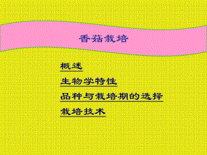 香菇栽培技术讲解.ppt