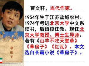《孤独之旅》ppt课件.ppt