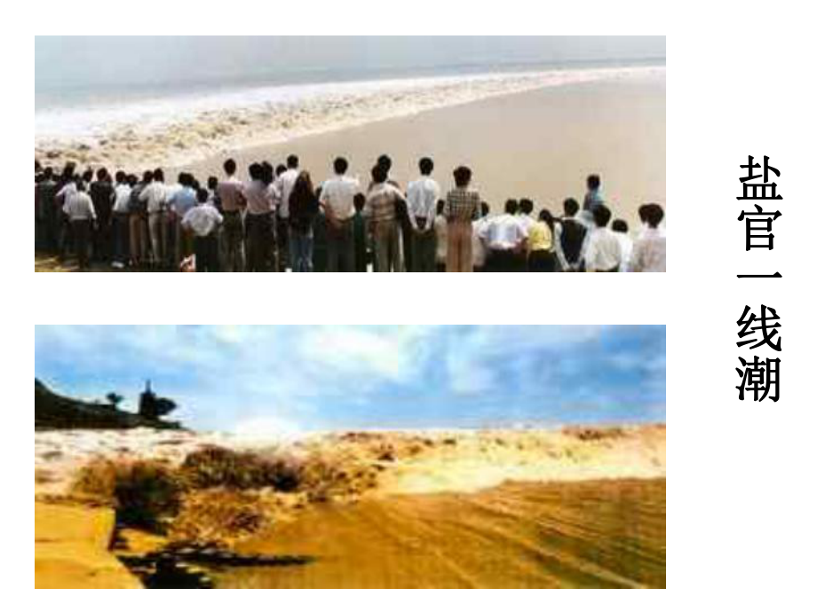 《观潮》ppt课件.ppt_第3页