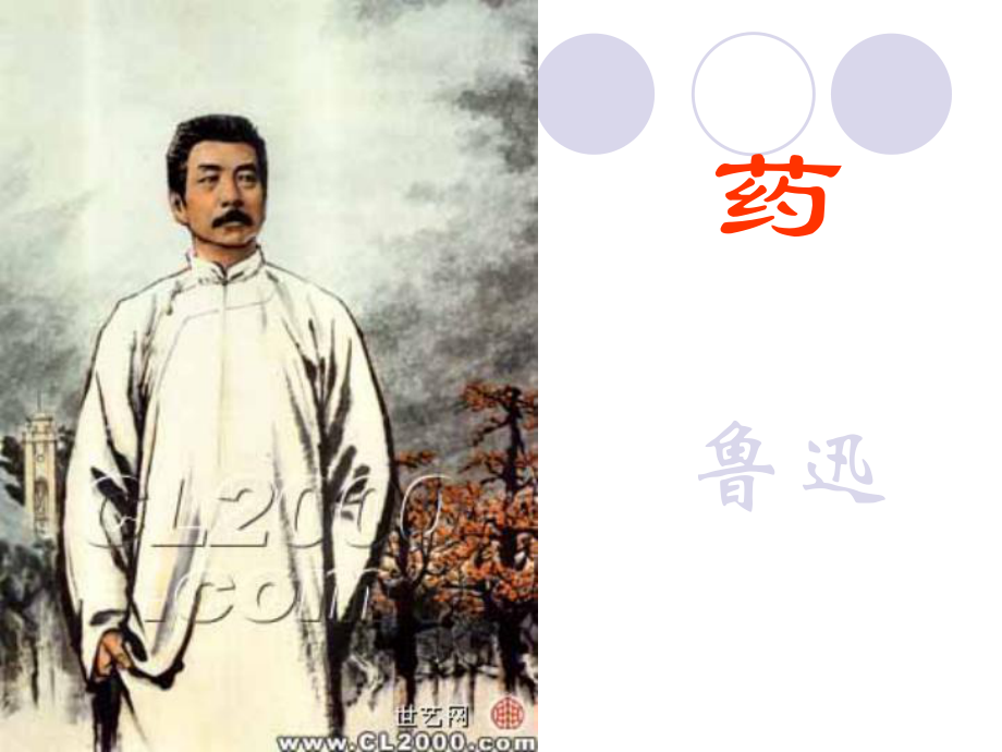 《药》PPT.ppt_第1页