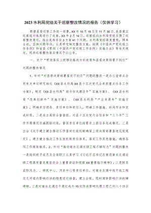 2023水利局党组关于巡察整改情况的报告.docx